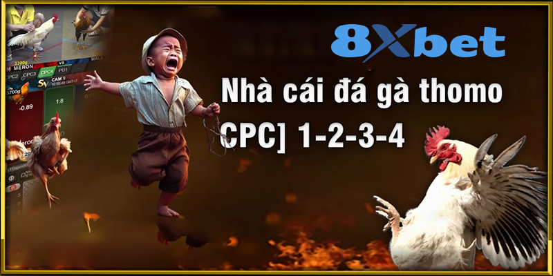 Đá gà 8Xbet - Đến Với Đá Gà Đỉnh Nhất Và Cơ Hội Kiếm Tiền Lớn!